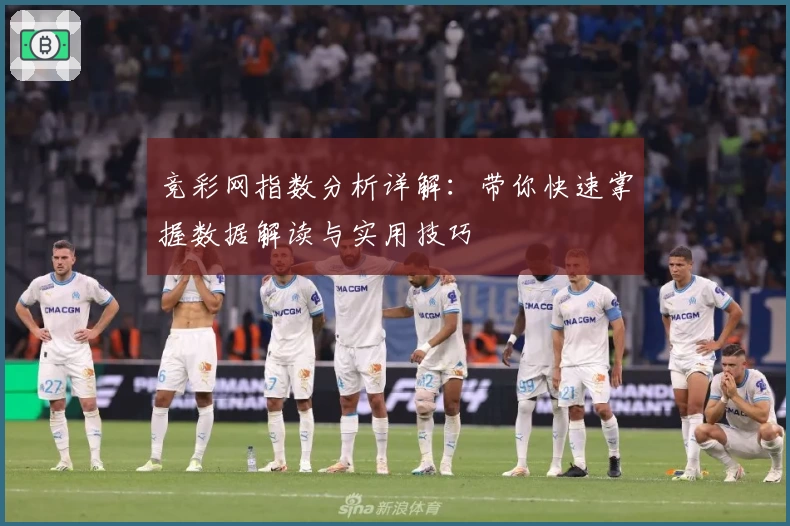 竞彩网指数分析详解：带你快速掌握数据解读与实用技巧
