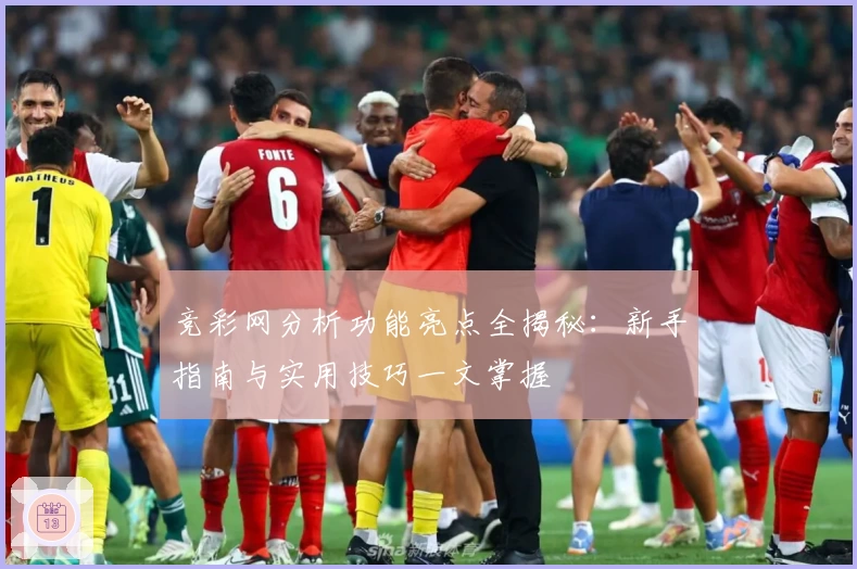 竞彩网分析功能亮点全揭秘:新手指南与实用技巧一文掌握