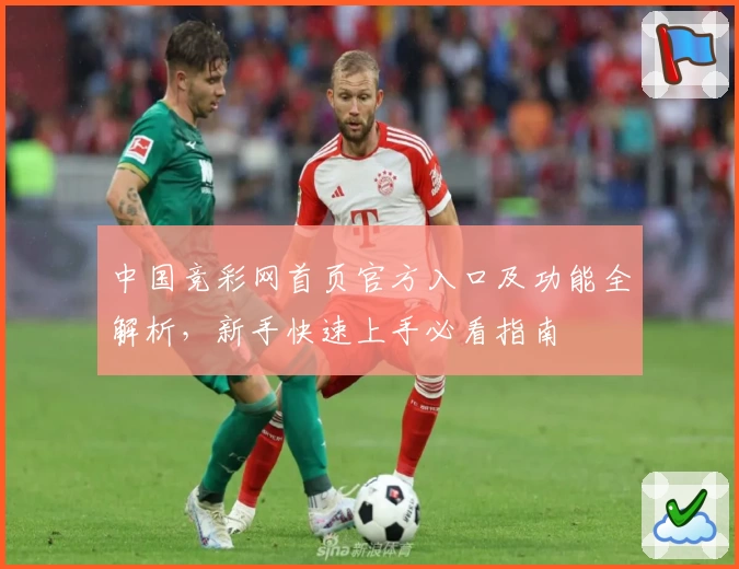中国竞彩网首页官方入口及功能全解析，新手快速上手必看指南