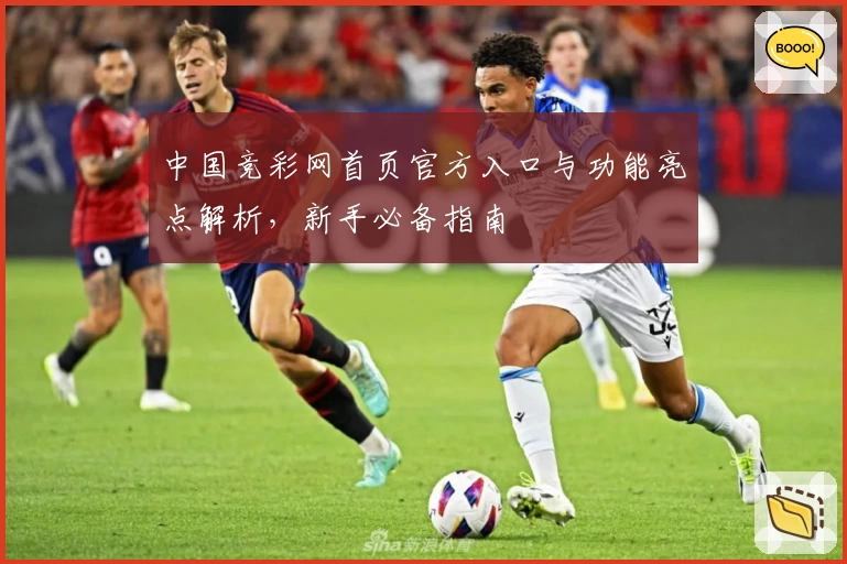 中国竞彩网首页官方入口与功能亮点解析，新手必备指南