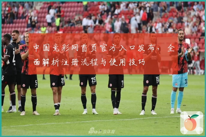 中国竞彩网首页官方入口发布，全面解析注册流程与使用技巧
