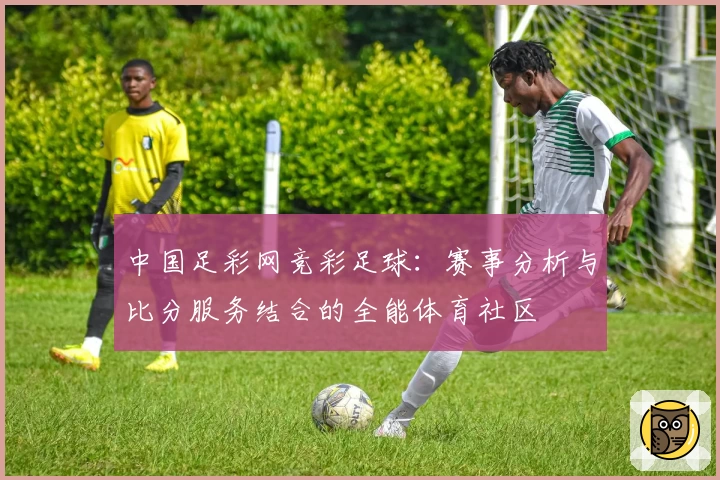 中国足彩网竞彩足球：赛事分析与比分服务结合的全能体育社区