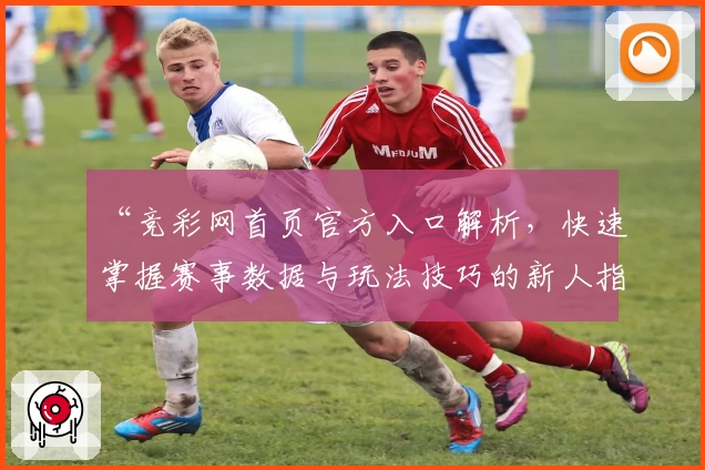 “竞彩网首页官方入口解析，快速掌握赛事数据与玩法技巧的新人指南”