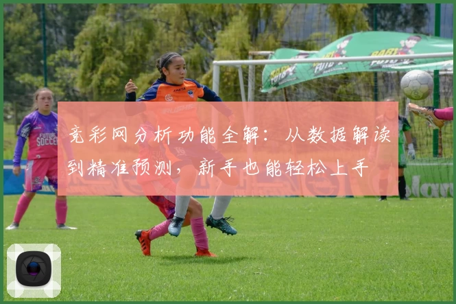 竞彩网分析功能全解：从数据解读到精准预测，新手也能轻松上手